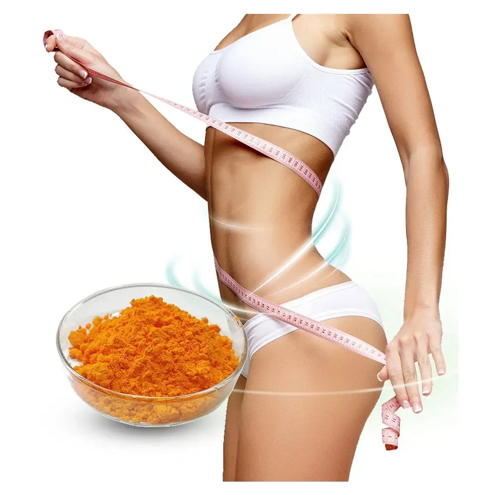 Coq10 Bulk Powder