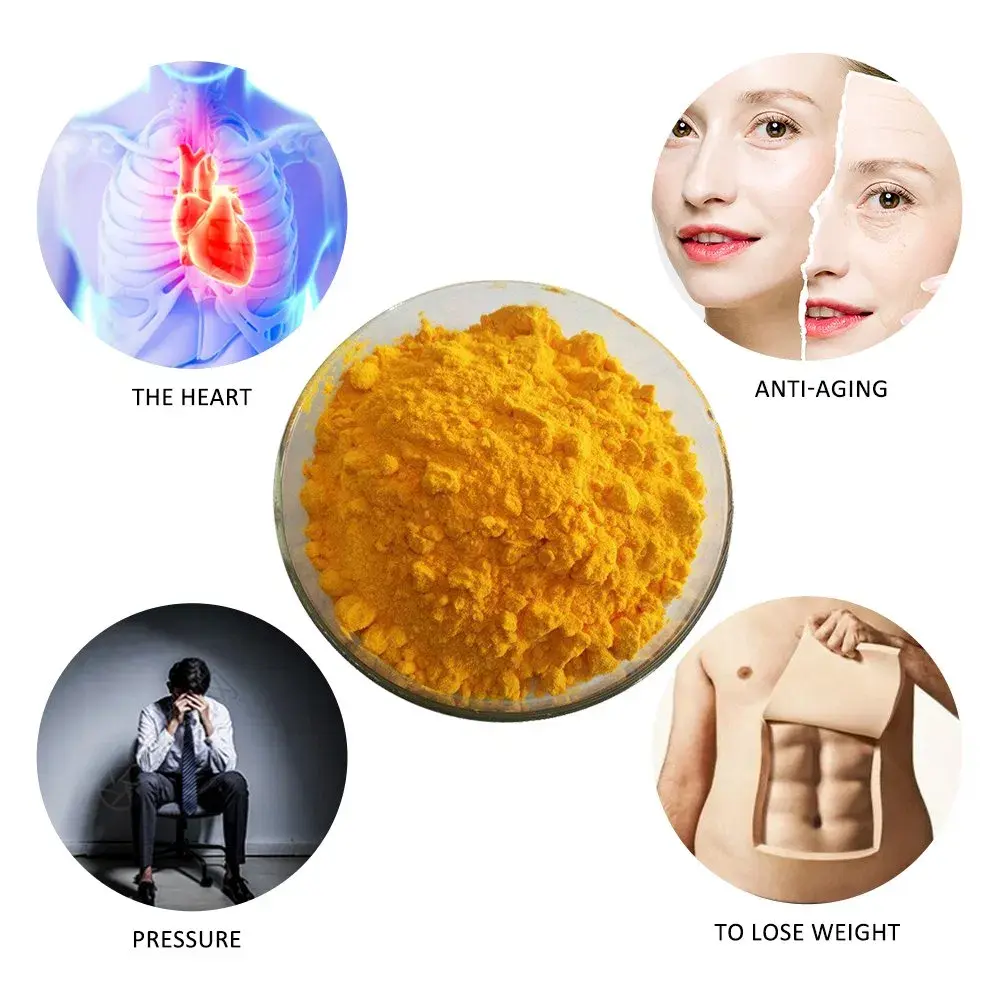 Coq10 Powder Bulk Coq10 Powder Bulk