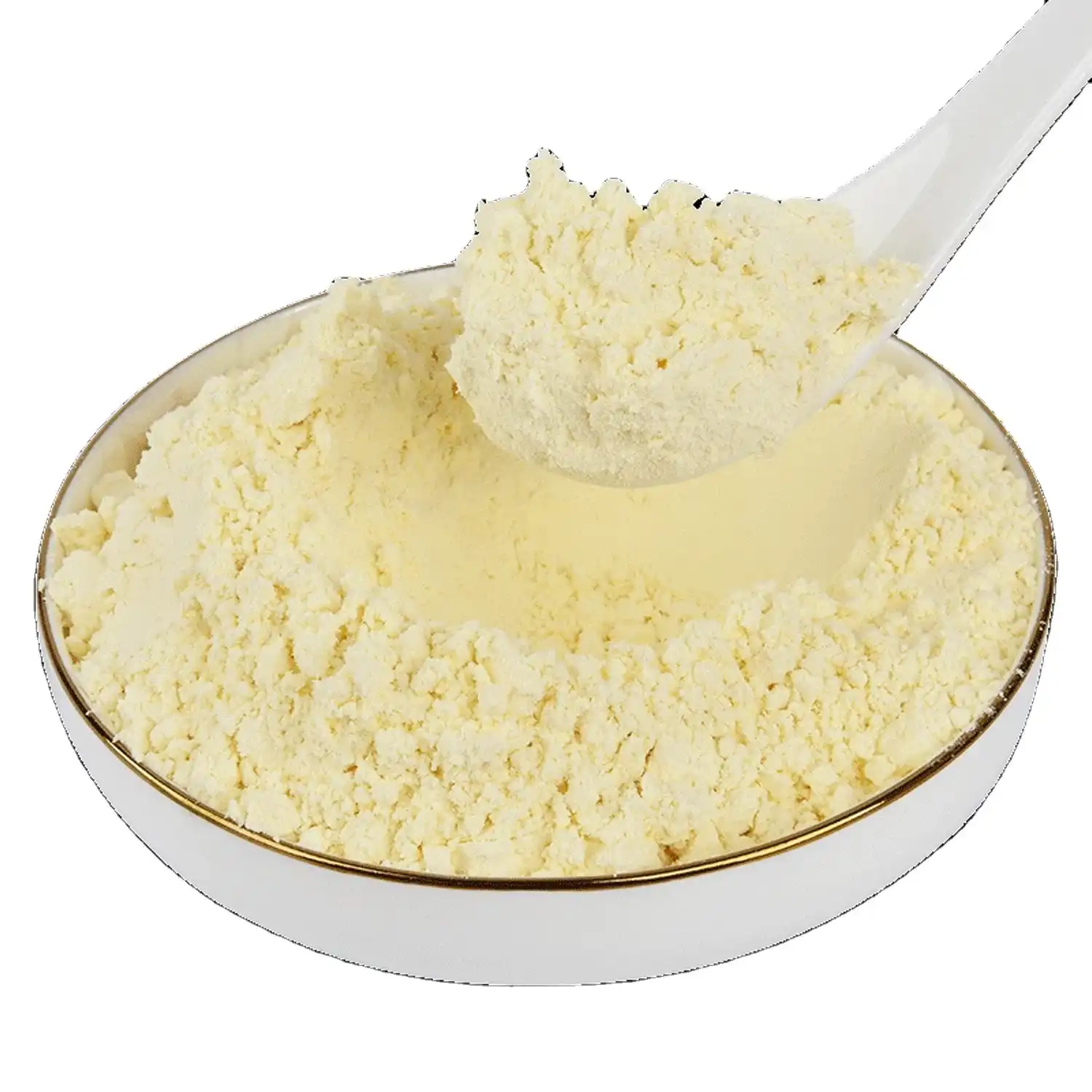 Bulk Xanthan Gum Powder