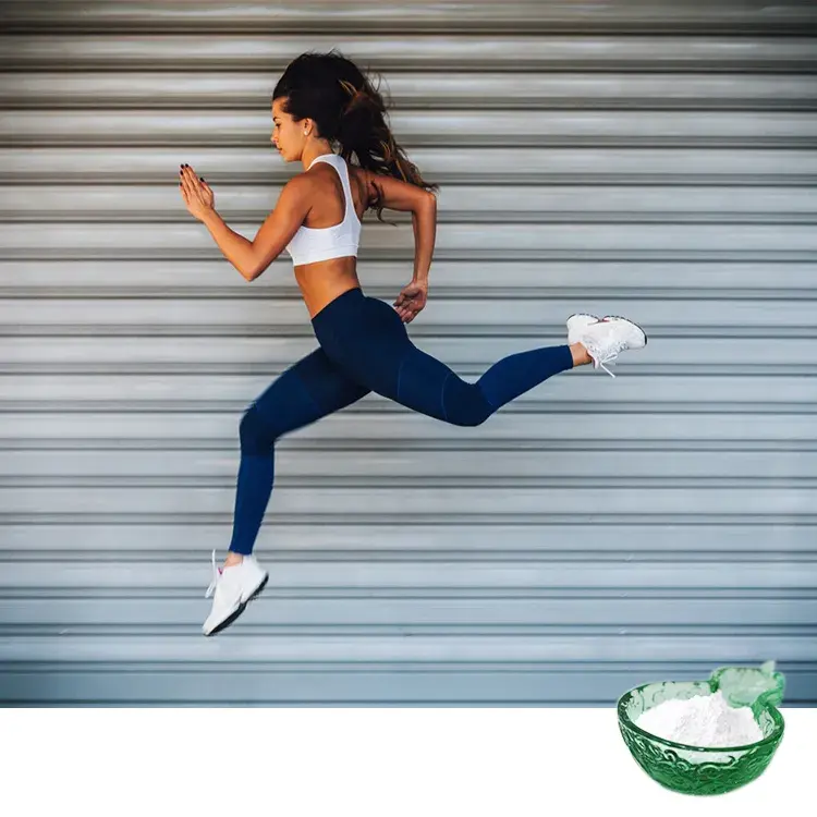 Bulk Powders L-Carnitine Bulk Powders L-Carnitine