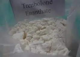 Raw Trenbolone Enanthate Powder