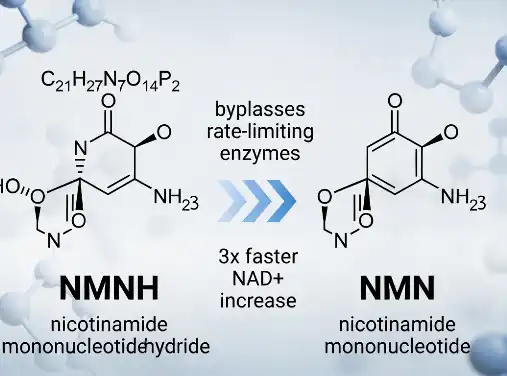 bulk NMNH Powder