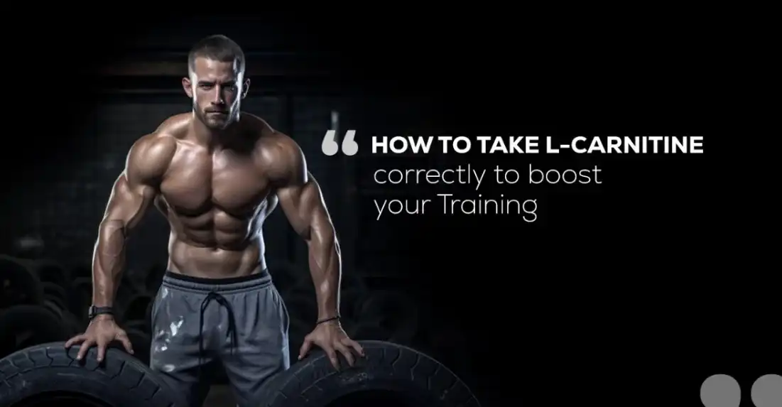 bulk powders L-carnitine bulk powders L-carnitine