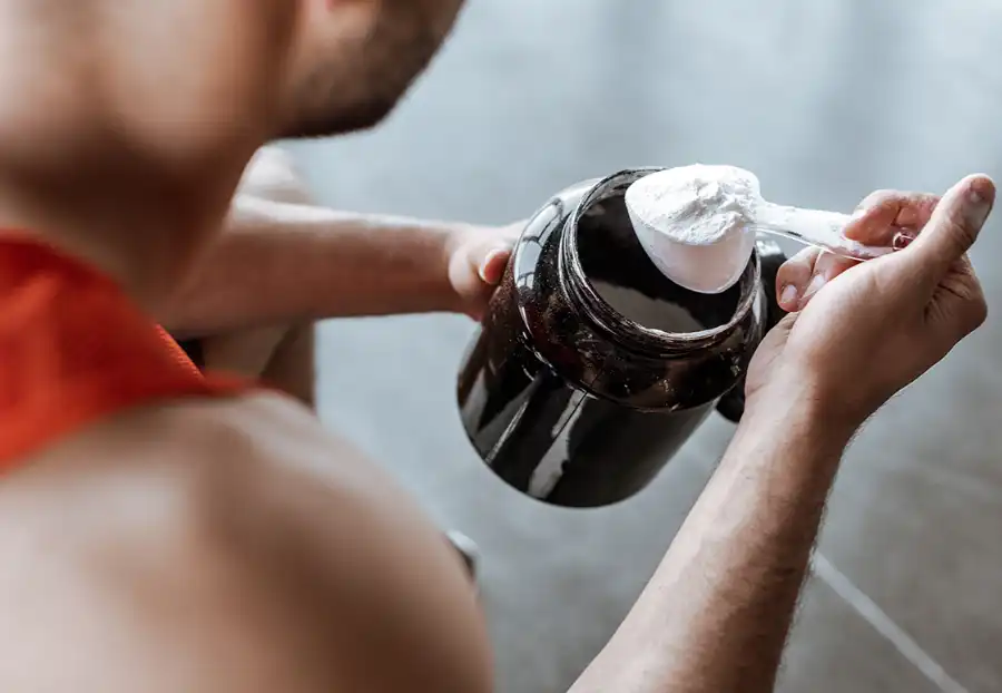 pure l carnitine powder pure l carnitine powder