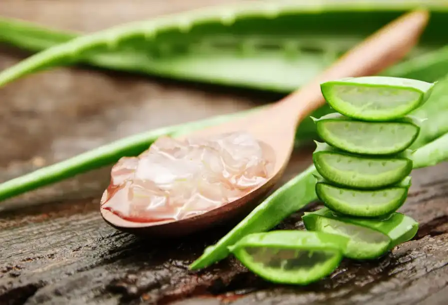 Aloe vera extract powder