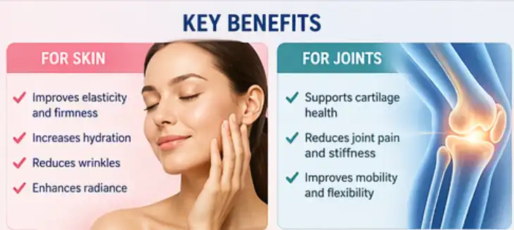 native collagen powder