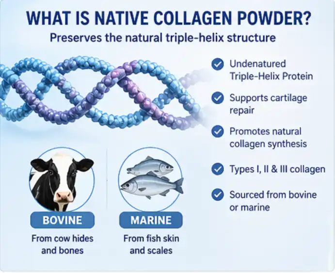 native collagen powder