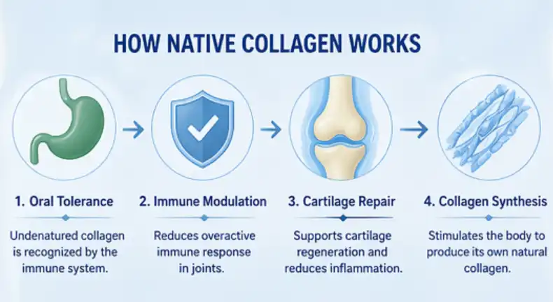 native collagen powder