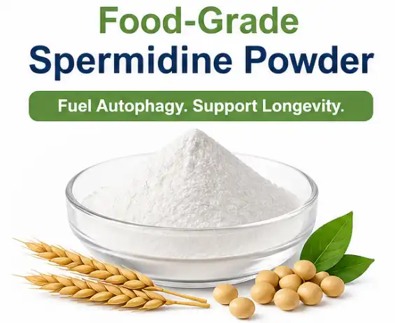 Food-grade Spermidine Powder Food-grade Spermidine Powder