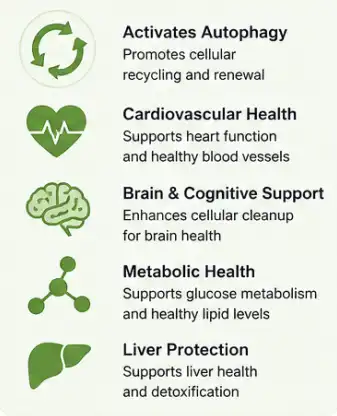 Food-grade Spermidine Powder Food-grade Spermidine Powder