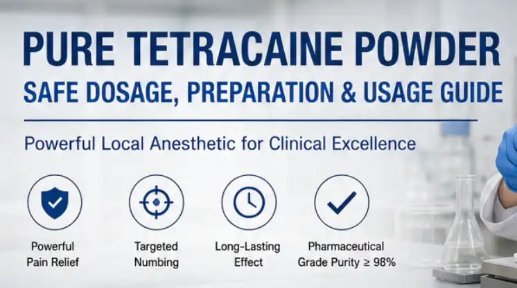 pure Tetracaine Powder pure Tetracaine Powder