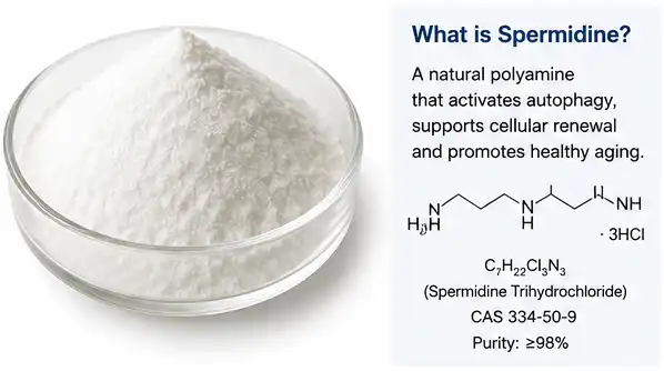 pure Spermidine Powder
