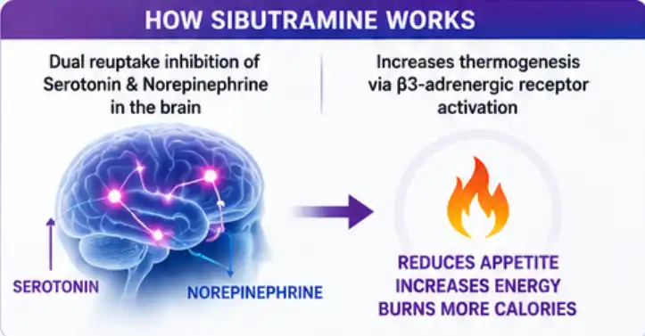 sibutramine powder sibutramine powder