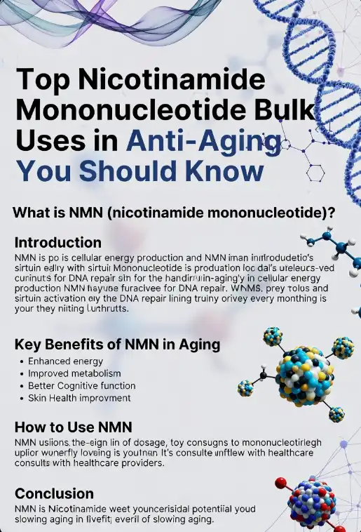 Top Nicotinamide Mononucleotide Bulk Uses in Anti-Aging You Should Know