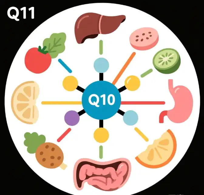Tips for Absorption of Bulk CoQ10?