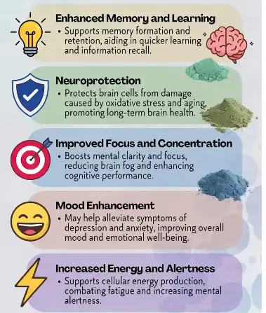 Top 5 Benefits of Alcar Powder for Cognitive Function and Brain Health