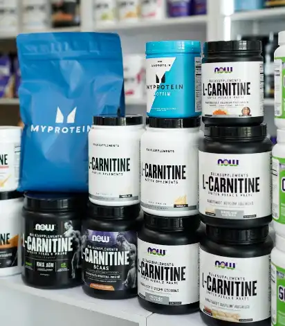 Where to Buy Affordable Bulk Protein Powders and High-Quality L-Carnitine Online？