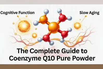 The Complete Guide to Coenzyme Q10 Pure Powder