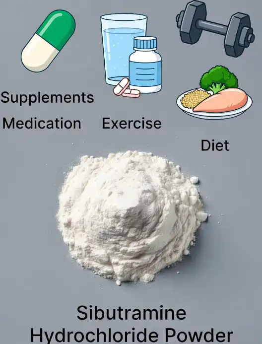 Sibutramine Hydrochloride Powder vs Alternative Weight Loss Options: Key Differences Explained