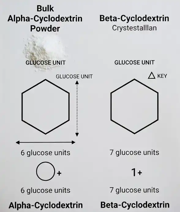 Bulk Alpha-Cyclodextrin Powder vs Beta-Cyclodextrin: Key Differences 2026